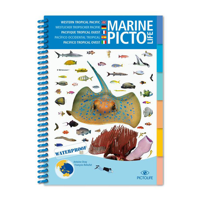 Guide d'identification 58 pages immergeable PACIFIQUE TROPICAL OUEST PICTOLIFE 