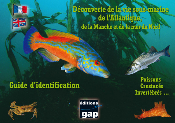 Guide d'identification l'Atlantique, la Manche et la mer du Nord en 8 plaquettes GAP EDITIONS