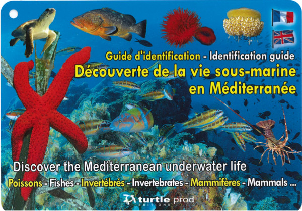 Guide d'identification Découverte de la vie sous-marine en Méditerranée en 8 plaquettes GAP EDITIONS