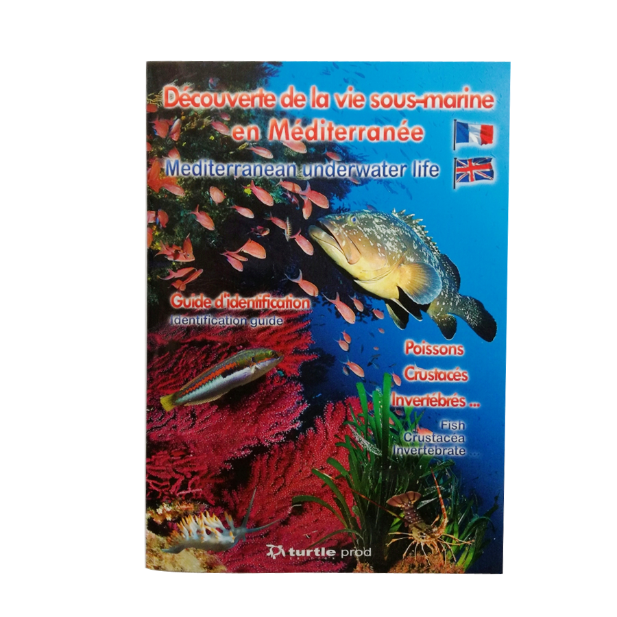 Guide d'identification Découverte de la vie sous-marine en mediterranée TURTLE PROD (