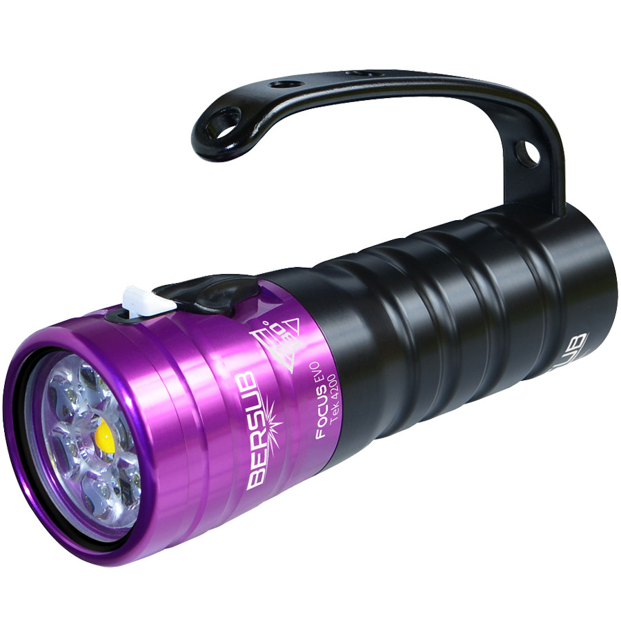 Phare FOCUS EVO Li TEK BERSUB Violet