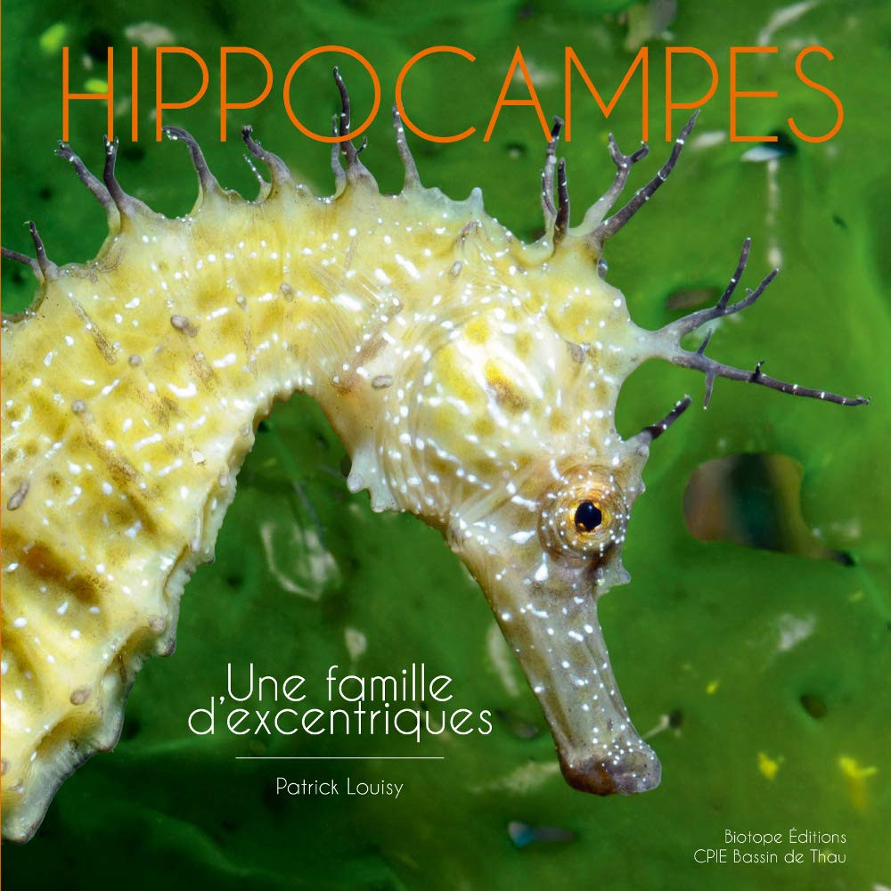 Livre HIPPOCAMPES. Une Famille Excentrique BIOTOPE