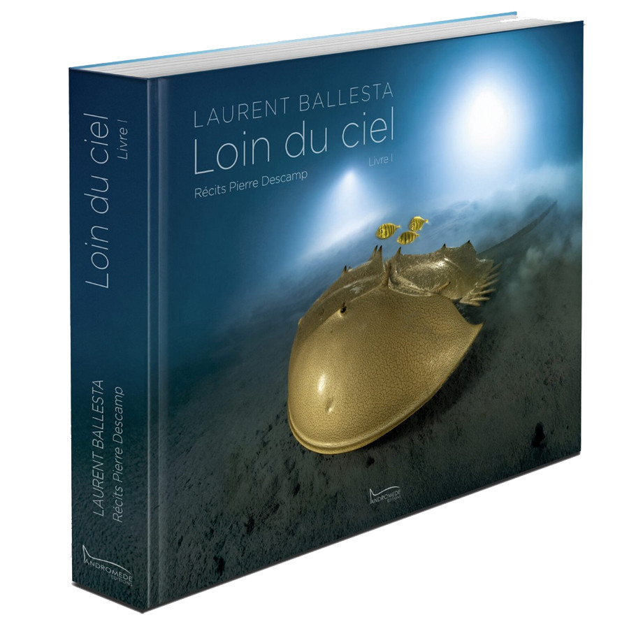 Livre LOIN DU CIEL de Laurent BALLESTA