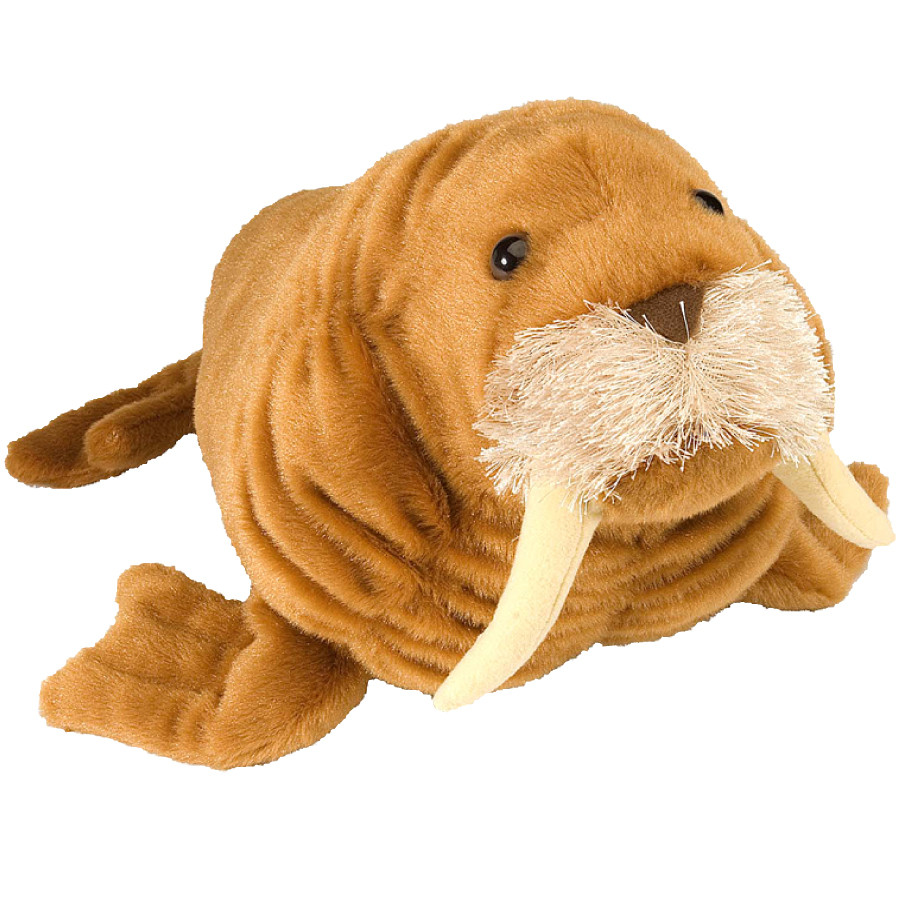 Peluche Morse 30cm