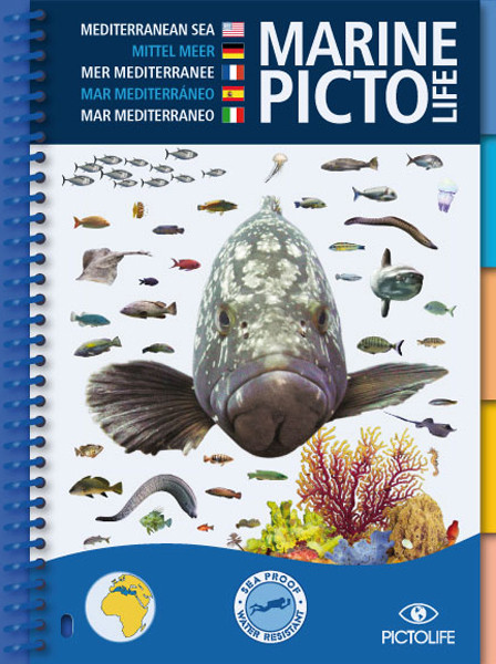 Guide d'identification 58 pages immergeable MEDITERANNEE PICTOLIFE