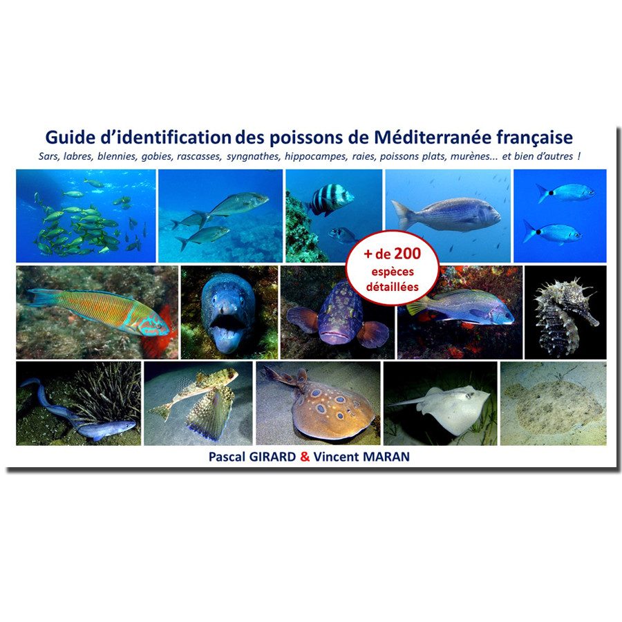 Guide d'identification des poissons de Méditerranée française