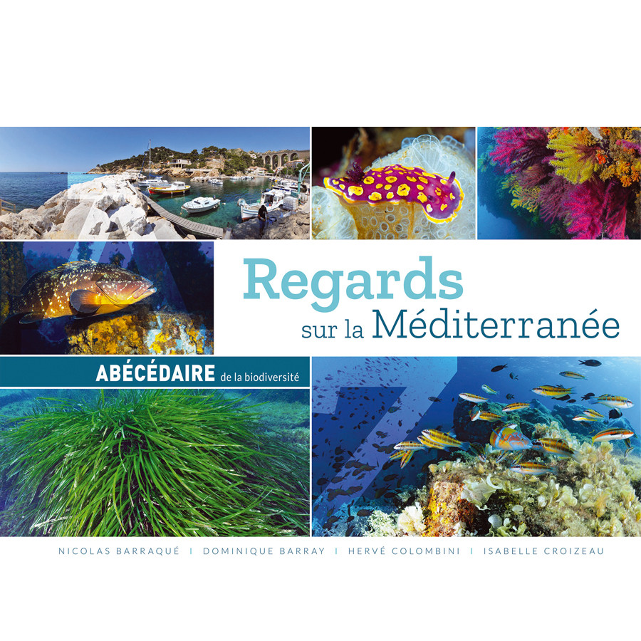 Livre REGARD SUR LA MEDITERRANEE