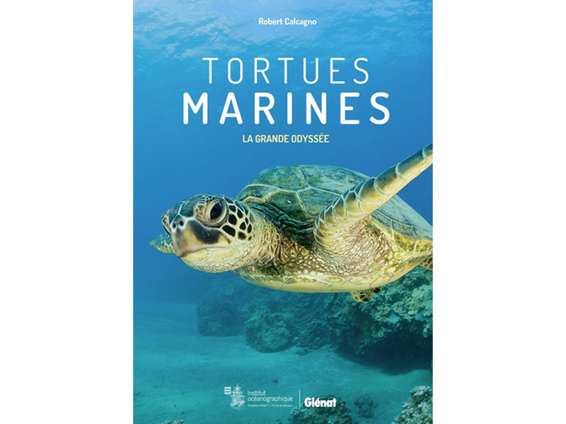 Livre Tortues Marines La Grande Odyssée