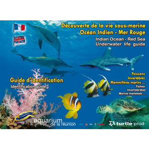 Guide d'identification Océan Indien Mer Rouge en 11 plaquettes GAP EDITIONS