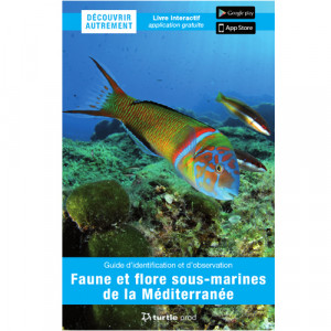 Livre Faune et flore sous-marine de la Mediterranée TURTLE PROD