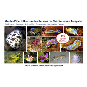 Guide d'identification des limaces de Méditerranée française