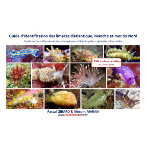 Guide d'identification des limaces française Atlantique, Manche et Mer du Nord 