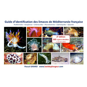 Guide d'identification des limaces de Méditerranée française 2eme Edition