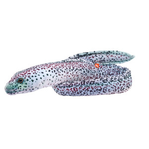 Peluche Murène Mouchetée 30cm