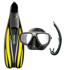 Pack Palmes F100 SEACSUB