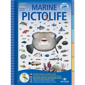 Guide d'identification 58 pages immergeable CARAÏBES PICTOLIFE