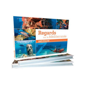 Livre Regards sur la Méditerranée : Abécédaire de la vie marine sur les milieux artificiels