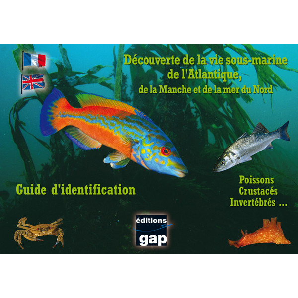 Guide d'identification l'Atlantique, la Manche et la mer du Nord en 8 plaquettes GAP EDITIONS