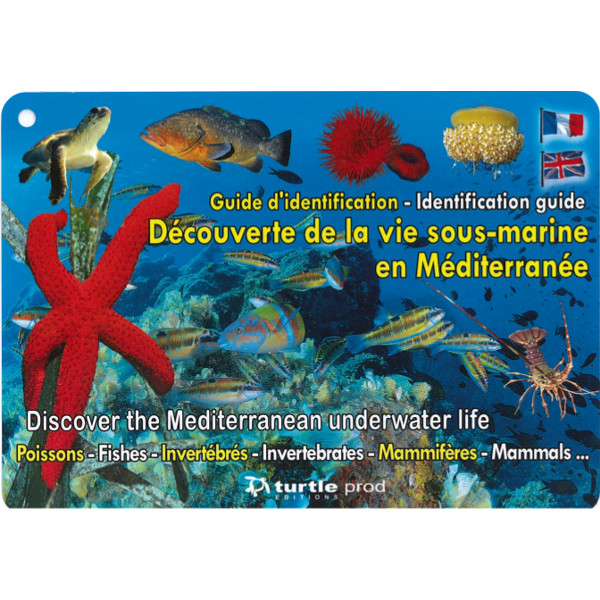 Guide d'identification Découverte de la vie sous-marine en Méditerranée en 8 plaquettes GAP EDITIONS