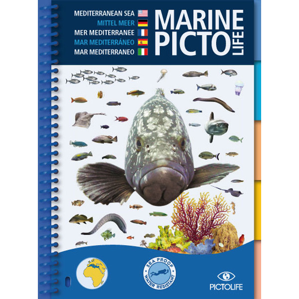 Guide d'identification 58 pages immergeable MEDITERANNEE PICTOLIFE